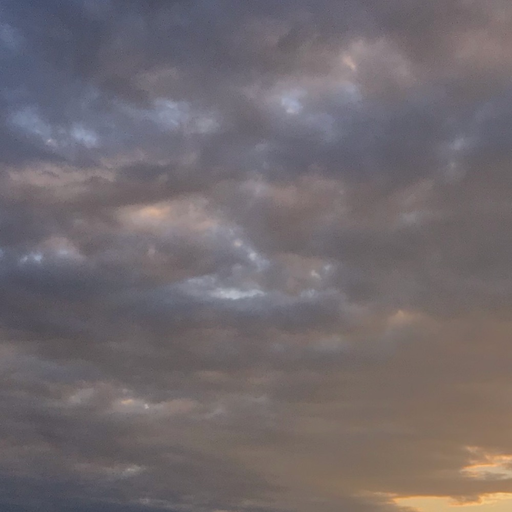 Meet your Posher, Mar